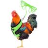 Chicken Rope With Leash And Matching Belt,Comfortable Hen Pet Vest