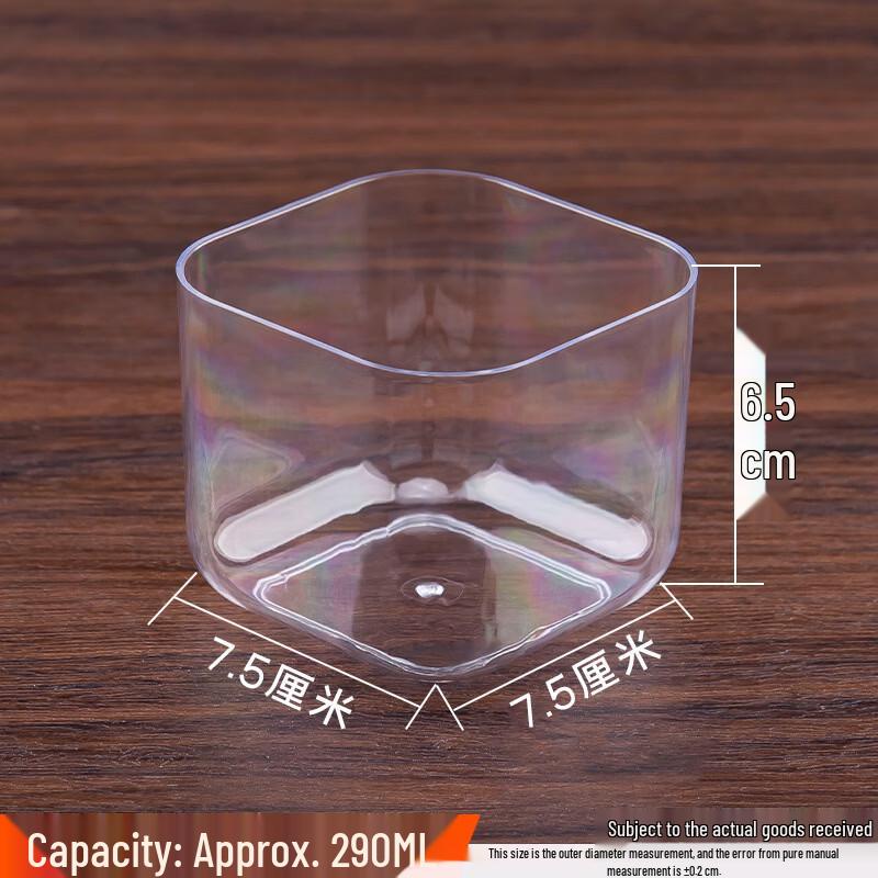 COFLYEE Disposable Dessert Packaging Boxes