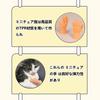 YANHUILAY Miniature Cat Finger Toys [Set of 10] Mini Cat Hands, Cat Teasers, Finger Puppets, Popular, Cute, Fun, Soft, Stretchy, Photography, Pet