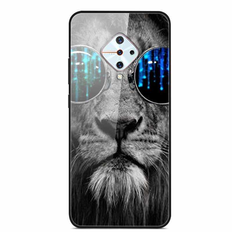 Tempered Glass Case For Vivo V17 Case Russia Glass Back Cover Soft Bumper For Vivo V17 Phone Cases V 17 Funda Y9s S1 Pro Coque