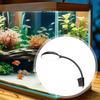 Mini Clip On Aquarium Light Easy To Use Simple 5W Small Fish Tank