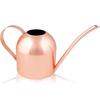 Stainless Steel Watering Can 0.9 L (30 Oz) - Long Spout, Anti-corrosion, for Indoor Plants