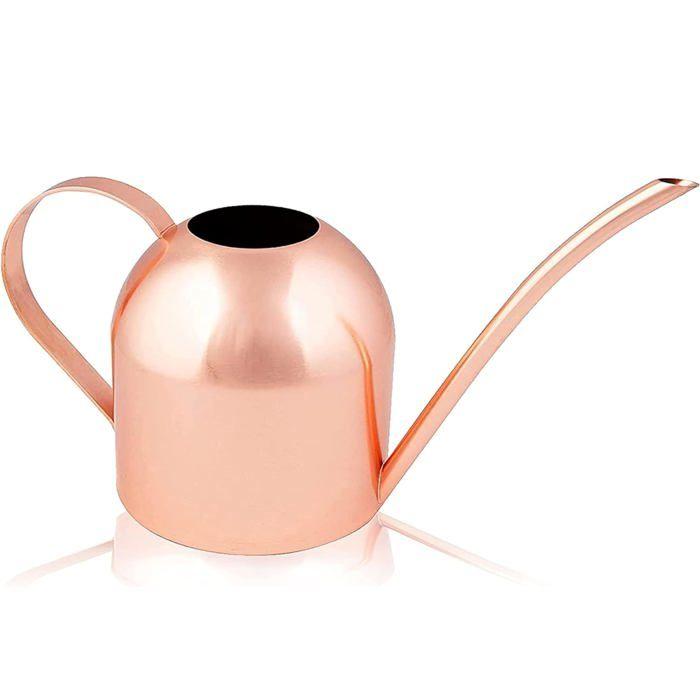 Arrosoir inox 0,9 L (30 oz) - Bec long, anti-corrosion, pour plantes d'intérieur