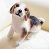 Stuffed Animal Animal Puppy Dolls Rottweiler Shiba Inu Plush Dolls  Children Girlfriends