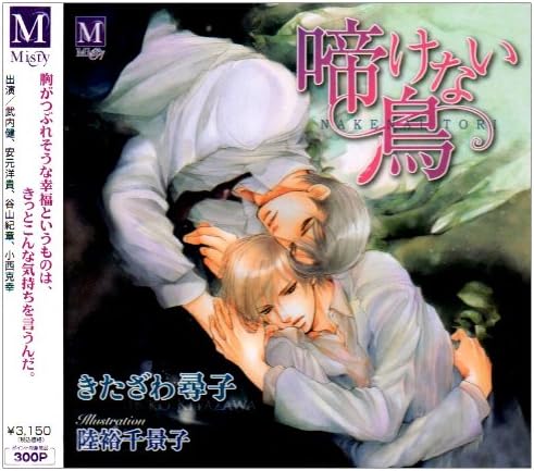 

CD IMAGE ALBUM, KEN TAKEUCHI, HIROKI Y - A bird that doesn t sing INCD2537 Japan ObiMusic Others Used