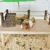 Small Pet Ladder for Hamster Cage Entertainment Jumping Platform Climbing Toy Multiple Playground Toy for Small Animals