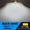 [For 12V-24V cars] T10 x 41mm/42mm LED Room Lamp White