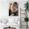 Les Trésors De Lily [A3007] - Brown 'Lion' Photo Canvas - 90x60 Cm