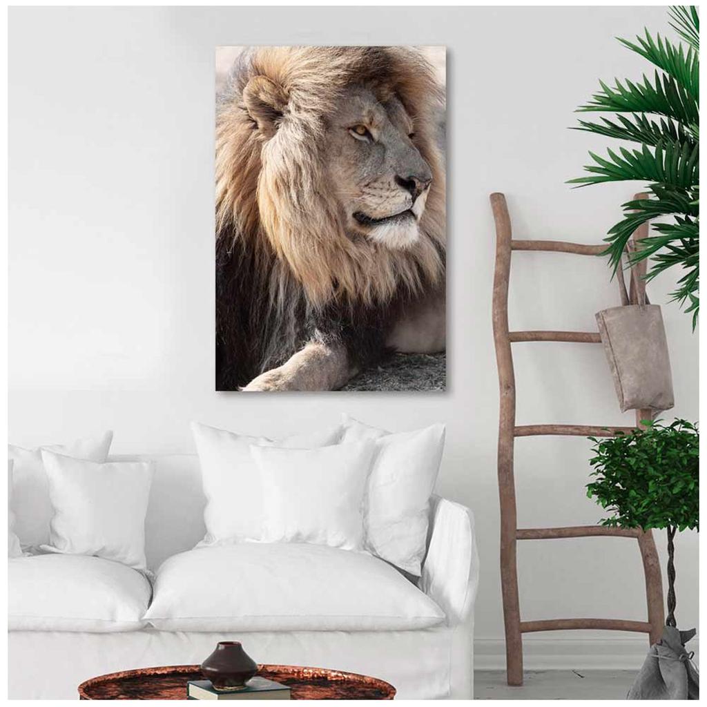 Les Trésors De Lily [A3007] - Brown 'Lion' Photo Canvas - 90x60 Cm