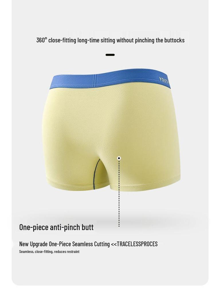 Anti-Bacterial Cotton Boxer Briefs for Boys and Men