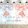 Dewprint Gender Reveal Backdrop Pink or Blue Baby Shower Decoration Banner Pink Blue Clouds Stars Balloons Photography Prop