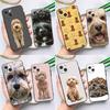 Brown Cockapoo Phone Case For Samsung Galaxy S26 S25 S24 S23 Ultra S20 FE S10 S21 S22 Plus S25 FE Cover