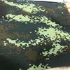 Decorative Camouflage Fabric