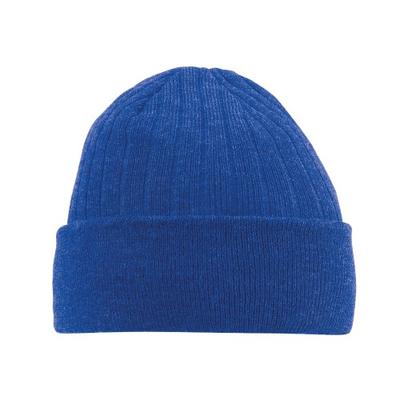 Beechfield Unisex Adult Thinsulate Beanie