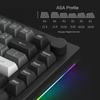 Akko 5075B Plus Black Silver English USB Bluetooth Wireless V3 Cream Blue Pro Magnetic Switch Tenkeyless Mechanical Keyboard with Gasket 3000mAh RGB
