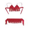 Belly Dancer Outfit Sequin Tassel Bra Top with Fringe Hip Scarf Set Sparkling Rave Party Costume for Women Girls