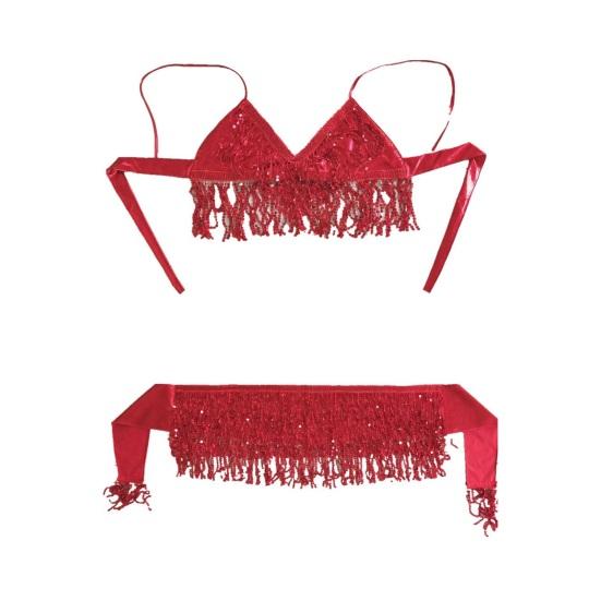 Belly Dancer Outfit Sequin Tassel Bra Top with Fringe Hip Scarf Set Sparkling Rave Party Costume for Women Girls