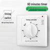 60-Minute 220V Timer Switch: Automatic Power Off for Water Pumps