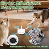 Automatic Cat Toy for Solo Interactive Automatic Cat Toy with 3 Adjustable Stimulates Indoor Rechargeable Cat Cat Moving Toy Play, Modes, Stress,