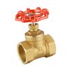 Gate Valve Water 1''