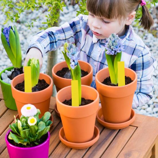 200 Adet Bitki Etiketleri Bahçe Bitki Tanımlama Etiketleri PVC Su Geçirmez Yazması Kolay Çok Renkli Bahçe Etiketleme İşaretleyicileri