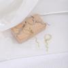 Irregular Snake Pendant Ear Buckle, Exaggerated Temperament Metal Style High-End Fashion Earrings