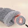 Double Layer Thickened Knitted Gloves for Winter Warm and Cold  Plus Velvet Northeast Outdoor Riding Solid Color Touch Screen Wool Gloves