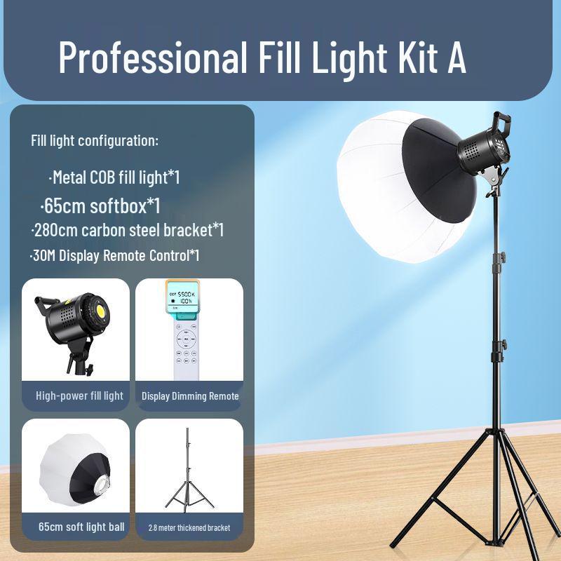 Zheyu Bright Spherical Fill Light for Indoor Live Streaming and Photography