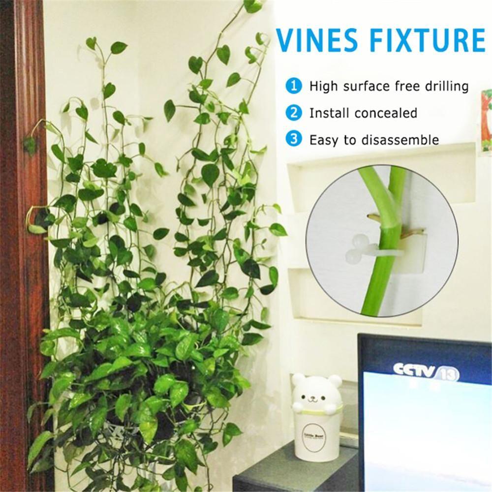 10PCS Invisible Plants Holder Greenhouse Bracket Rattan Clamp Wall Vines Wall Sticky Hook Plant Clip