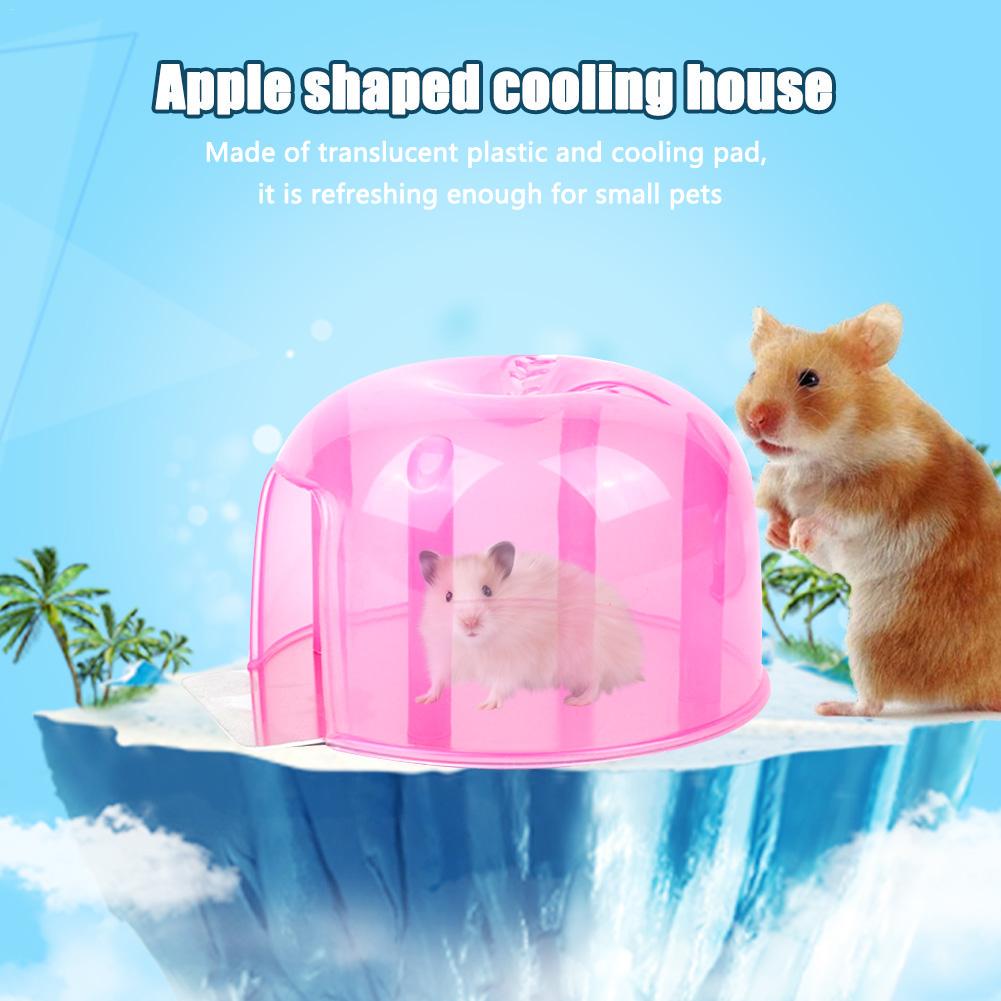 hamster cooling pad