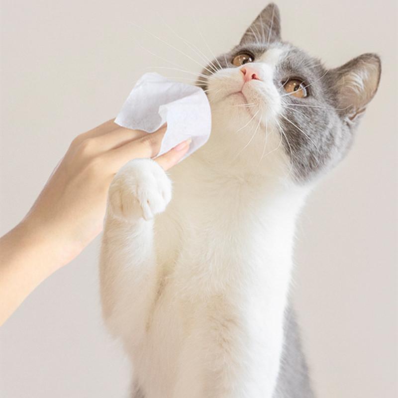 Hundewipes – Beruhigende, reinigende und feuchtigkeitsspendende Pflegetücher für Pfoten, Fell und empfindliche Bereiche