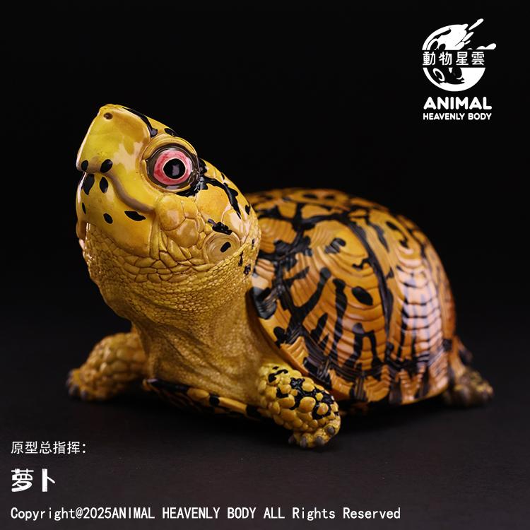 Animal Nebula Collectible Box Turtle Set - Series 25 Detailed Eastern Spotted Turtle Figures