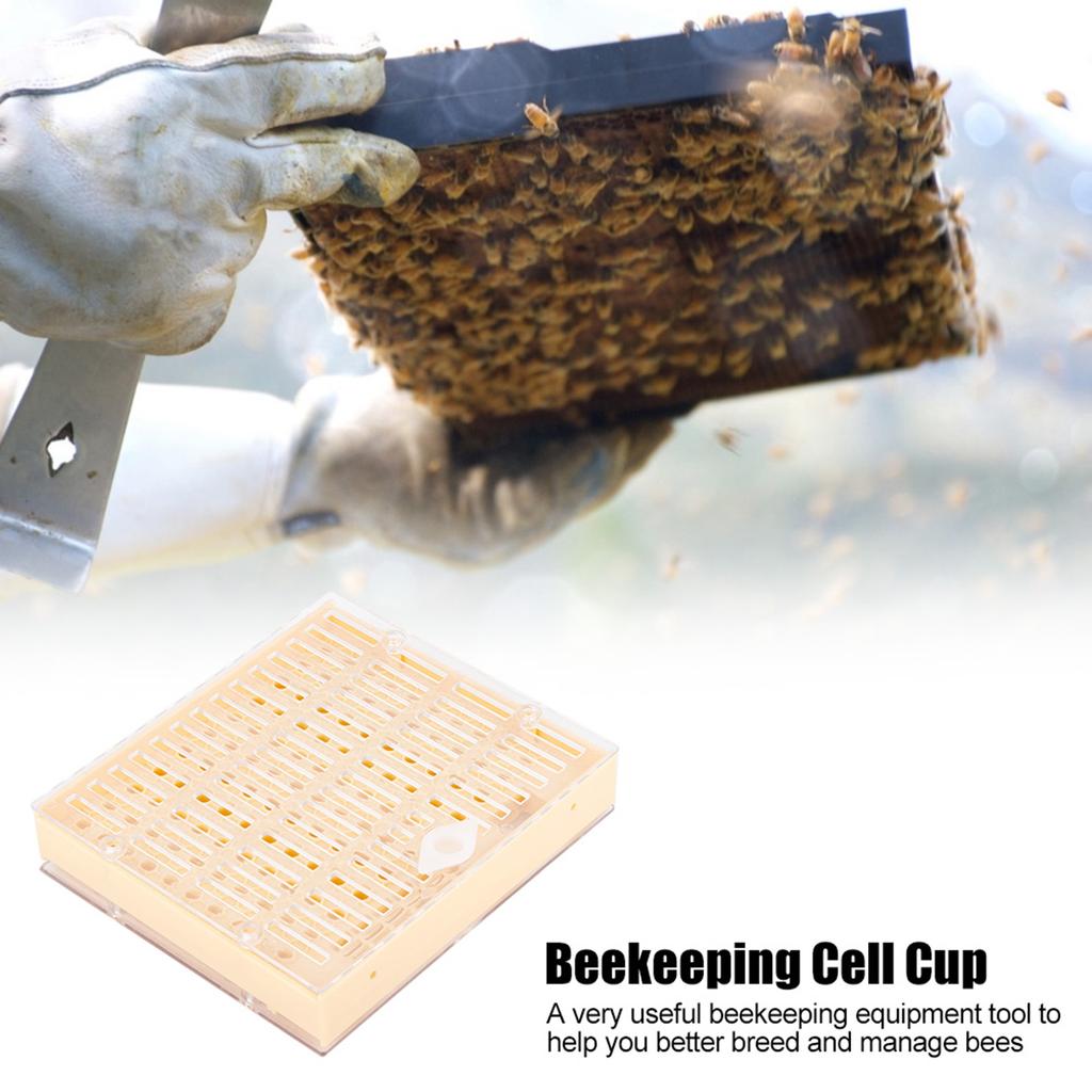 Beekeeping Rearing Cell Cup Kit Bee Queen Protective Cage Beekeeper Equipment Tools