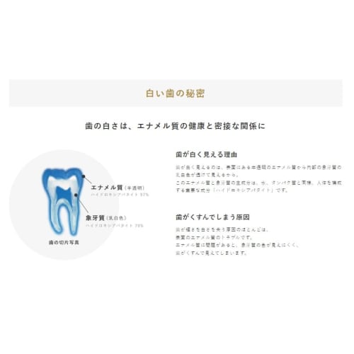 Apagard Serena 105g Whitening Stain Care Toothpaste (Set of 3) for Whitening, Stain Removal, Cavity Prevention, and Medicated Toothpaste. Includes Ori