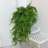 Artificial Persian Ivy Fern Wall Hanging