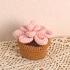 Handmade Emotional Support Crochet Plant Desktop Ornament Positive Crochet Succulents Doll Home Room Decoration Christmas Gift