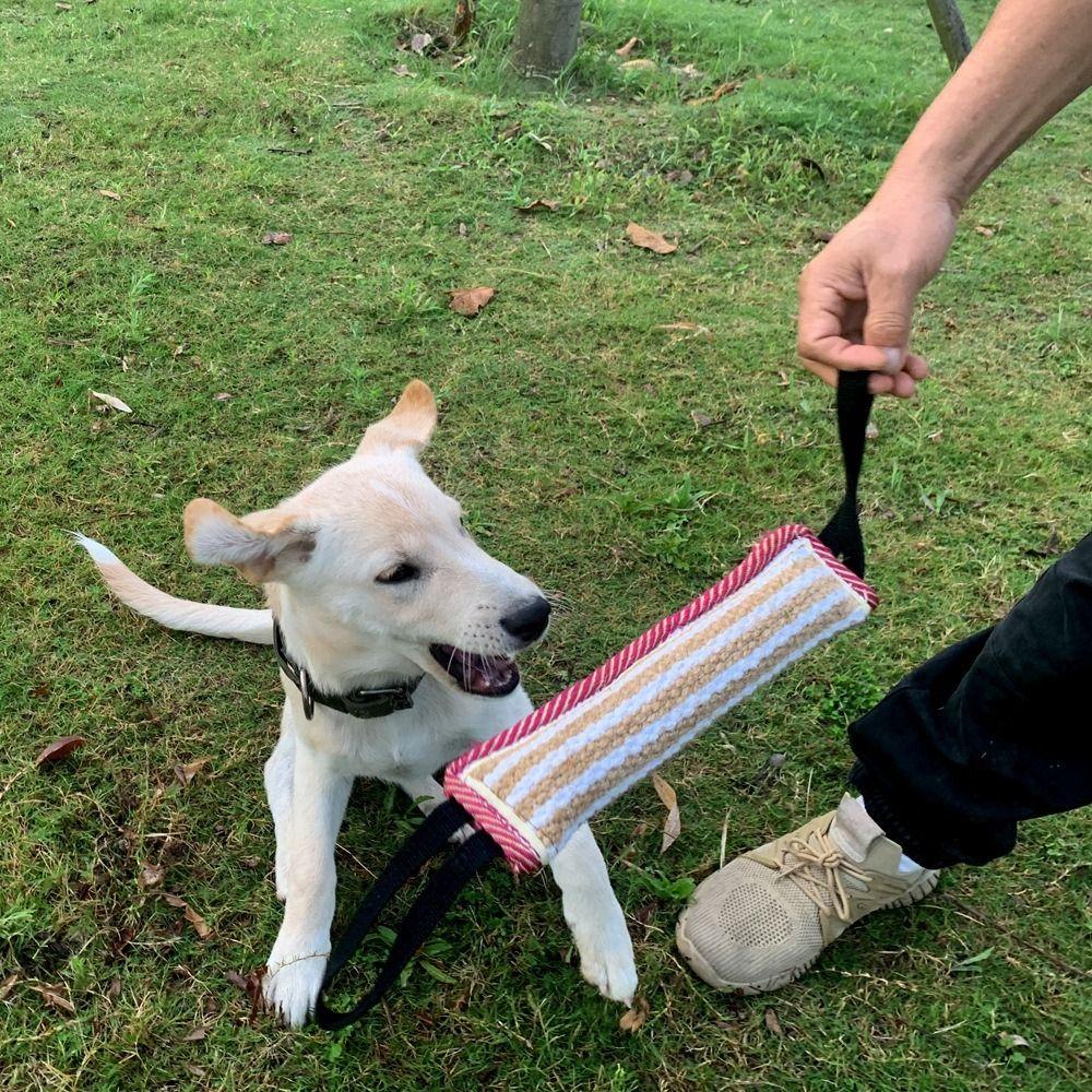 Puppy Chewing Toy Bite-resistant Dog Bite Pillow Rope Handles Interactive Dog Tug Toy Durable Pet Chew Sticks Dog Training