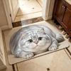 Absorbent Entryway Rug Diatomite Pet Floor Mat Practical Cat Print Doormat  Hallway