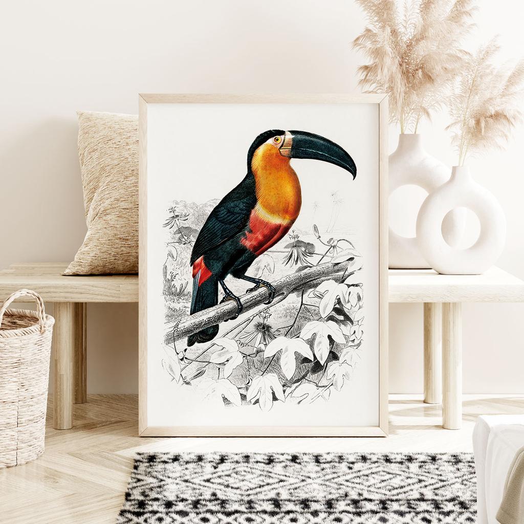 Plakat tukan ilustracja