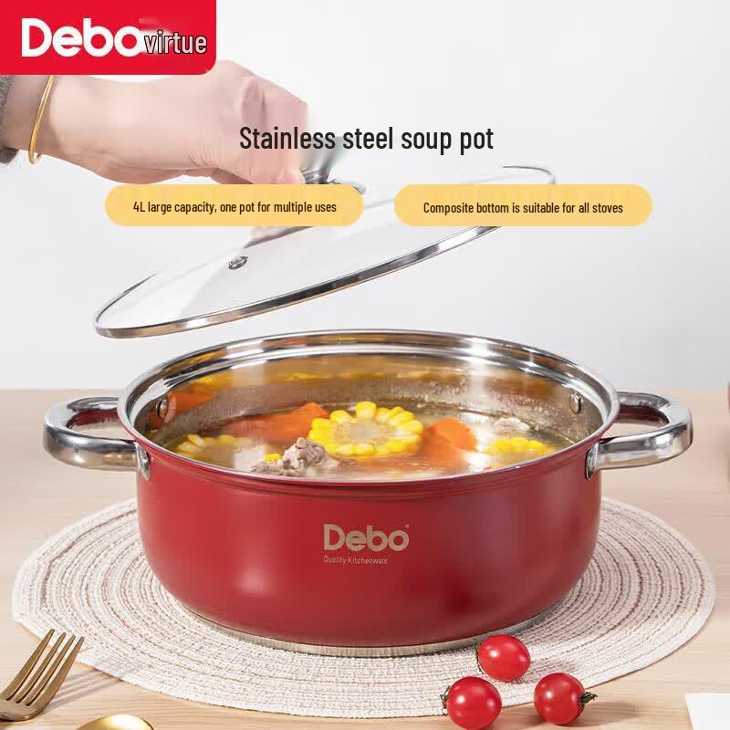 Debo Gerard Stainless Steel Soup/Hot Pot 26cm