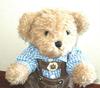 [USED] Teddy bear in Oktoberfest costume: gingham shirt and overalls
