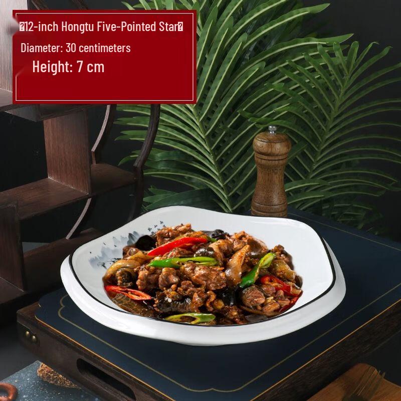 Irregular Ceramic Dinner Plate