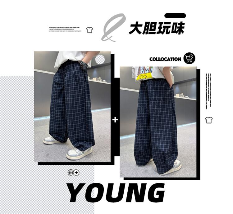 Boys' Summer Checkered Casual Pants 2026 New Style Rascal Handsome Children's Summer Work Pants Middle and Large Children's Casual Pants