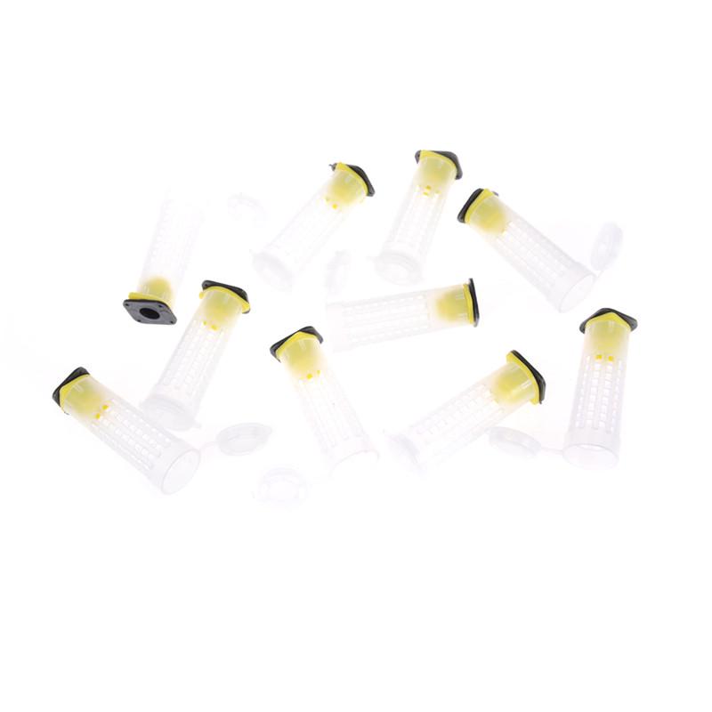 10Pcs Beekeeper Equipment Tool Beekeeping Rearing Cup Kit Queen Bee Cages