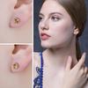 JewelryPalace Round Natural Yellow Citrine 925 Silver Stud Earrings for Women Statement Fashion Gemstone Jewelry Gift