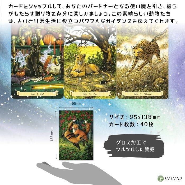 Everyday Witch's Familiars Oracle Cards (Authentic) with Japanese Instructions, Witch, Animal, and Familiar