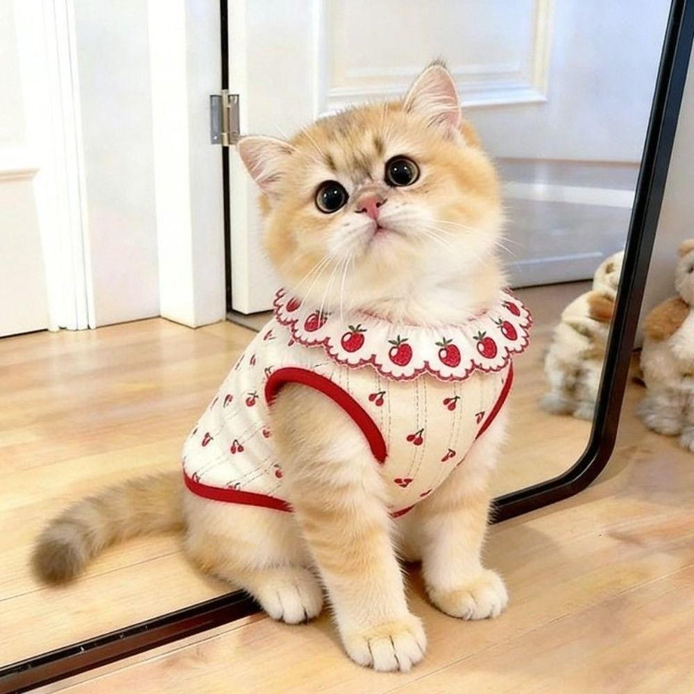 Cherry Pattern Cat Strawberry Vest Ruffled Collar Pet T-shirt Cat Lace Vest  Indoor Wear
