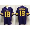 2026 NFL Minnesota Vikings Second Gen Embroidered Short Sleeve Jersey