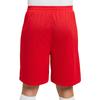 Nike Dri Fit Sports Shorts Men's University Red IB8654-657
