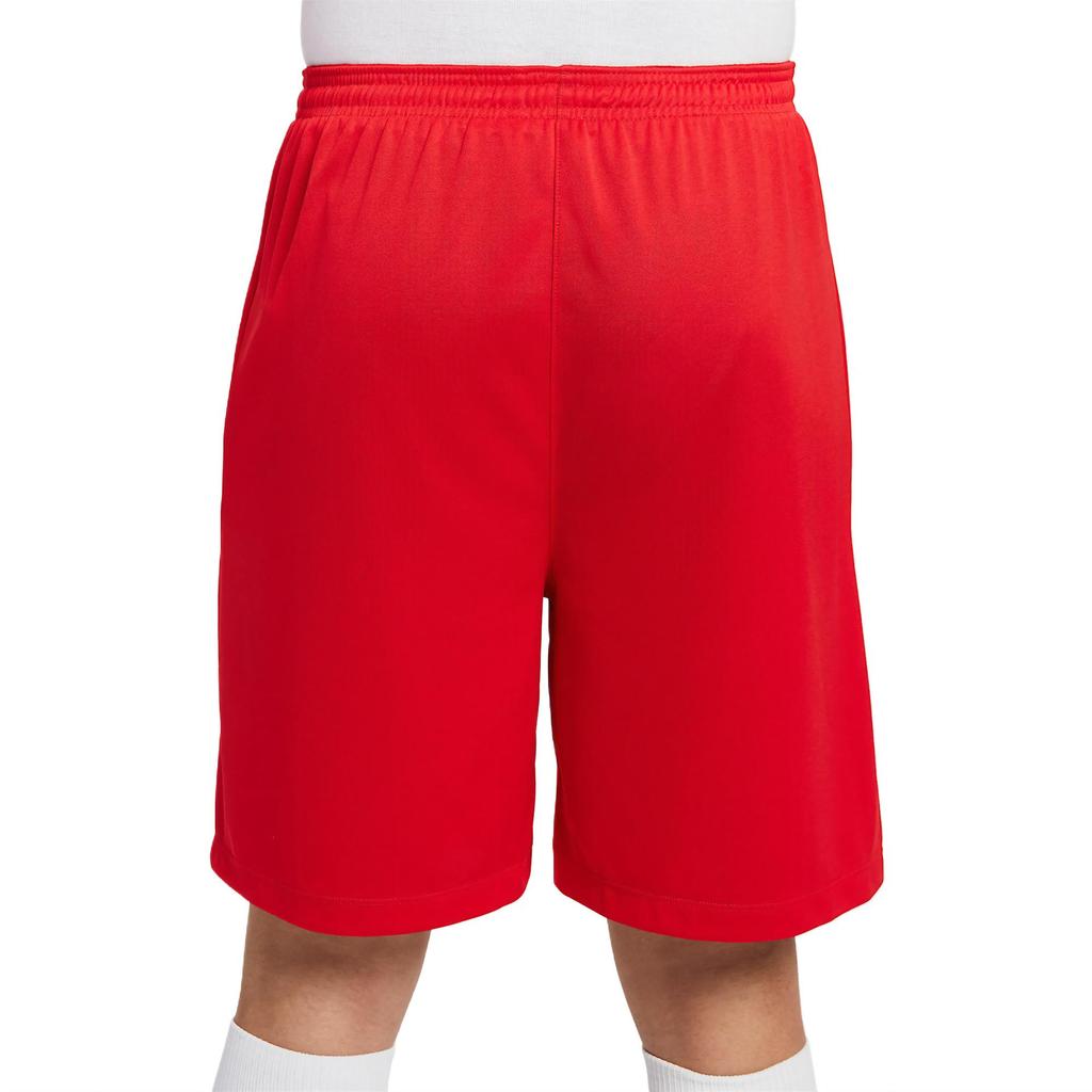 Nike Dri Fit Sports Shorts Men's University Red IB8654-657